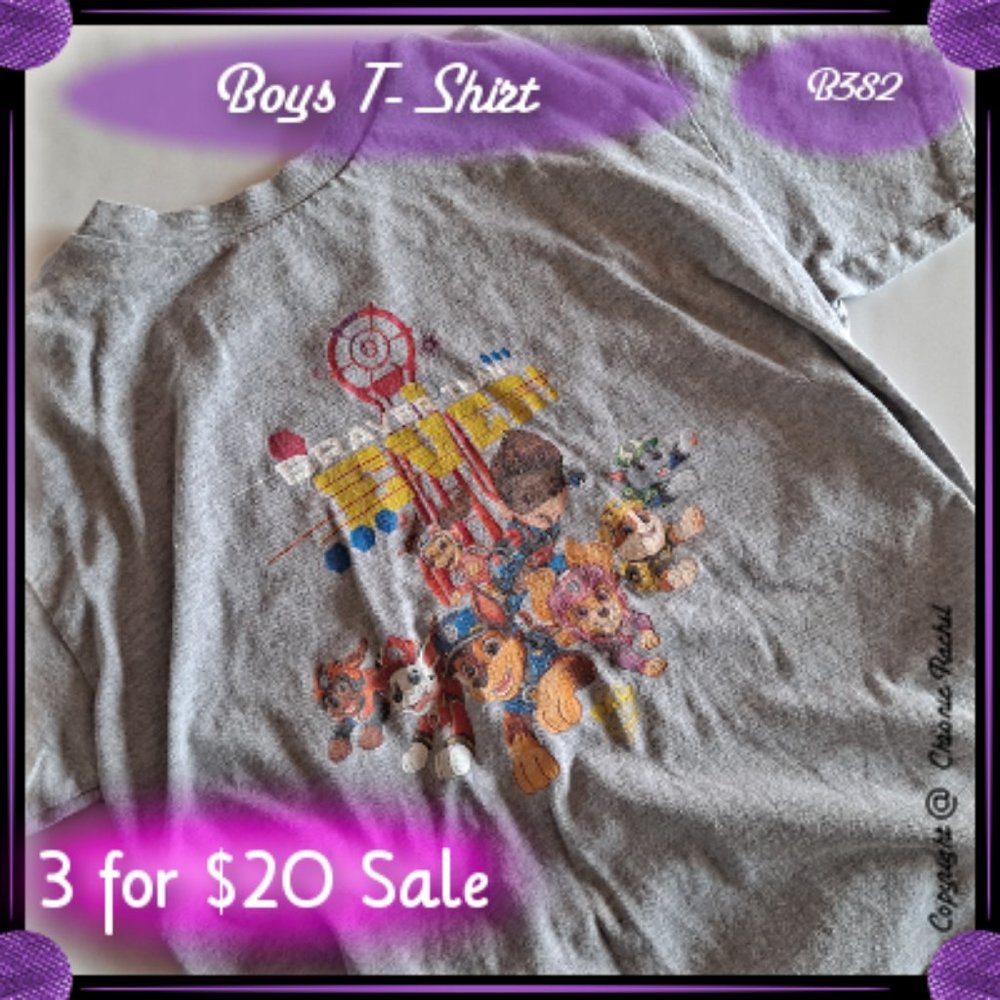 Paw Patrol Gray Movie "Braver Than Ever" T-Shirt